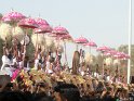 thrissur-pooram-2013-2 (1)